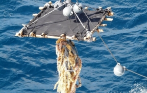 Nuevos dispositivos biodegradables para una pesca de atún más respetuosa con el ecosistema marino