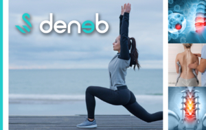 deneb medical