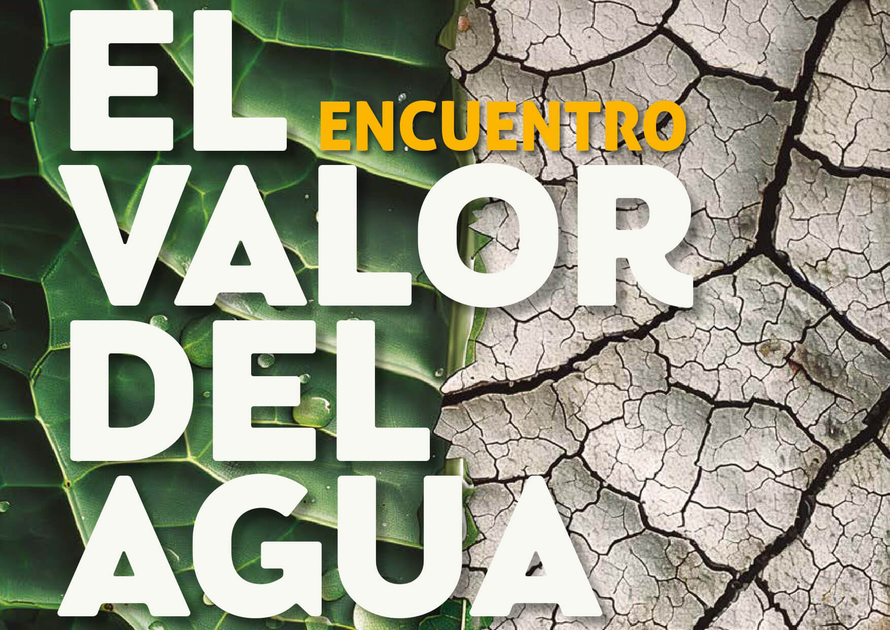 El valor del Agua